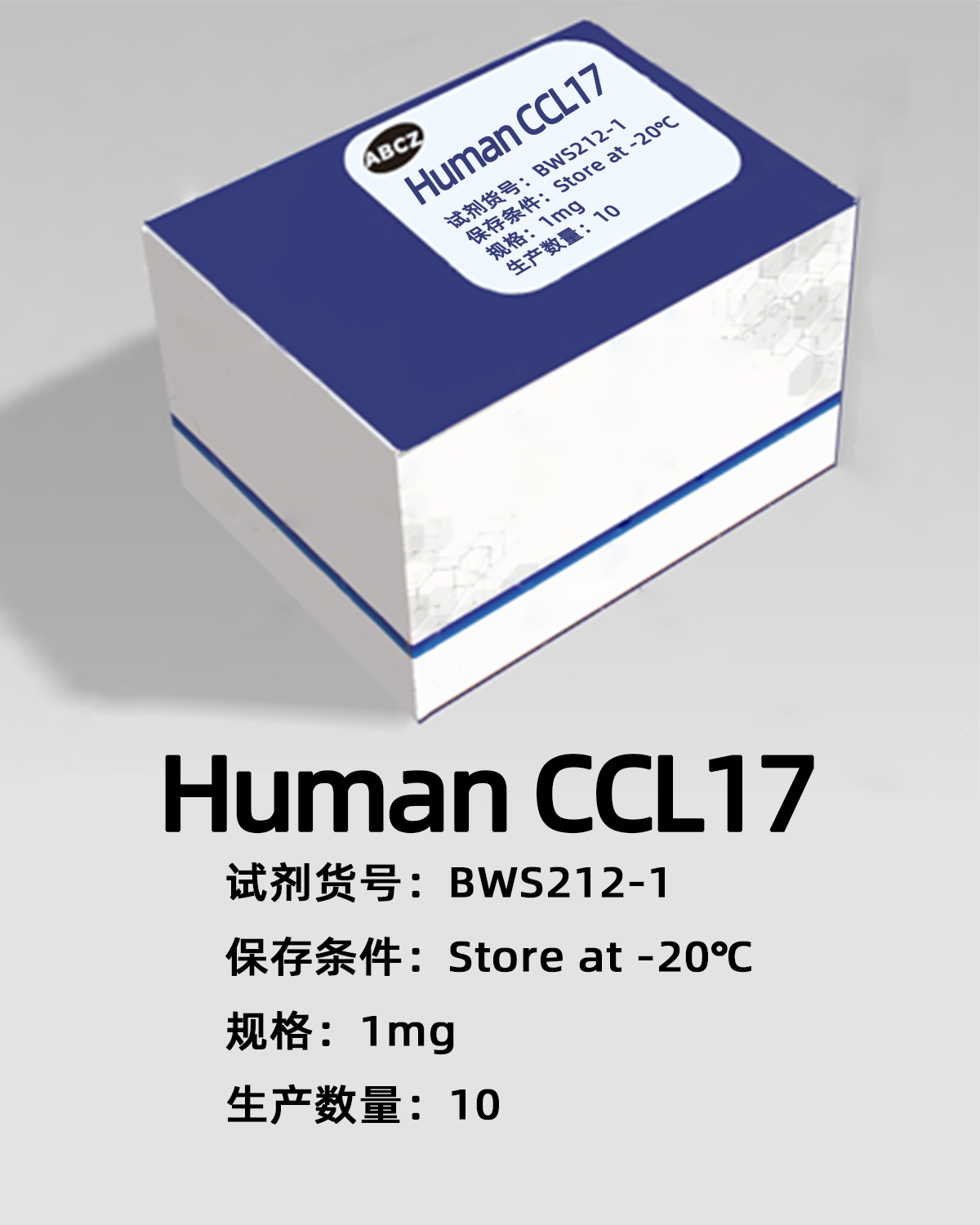 Human CCL17