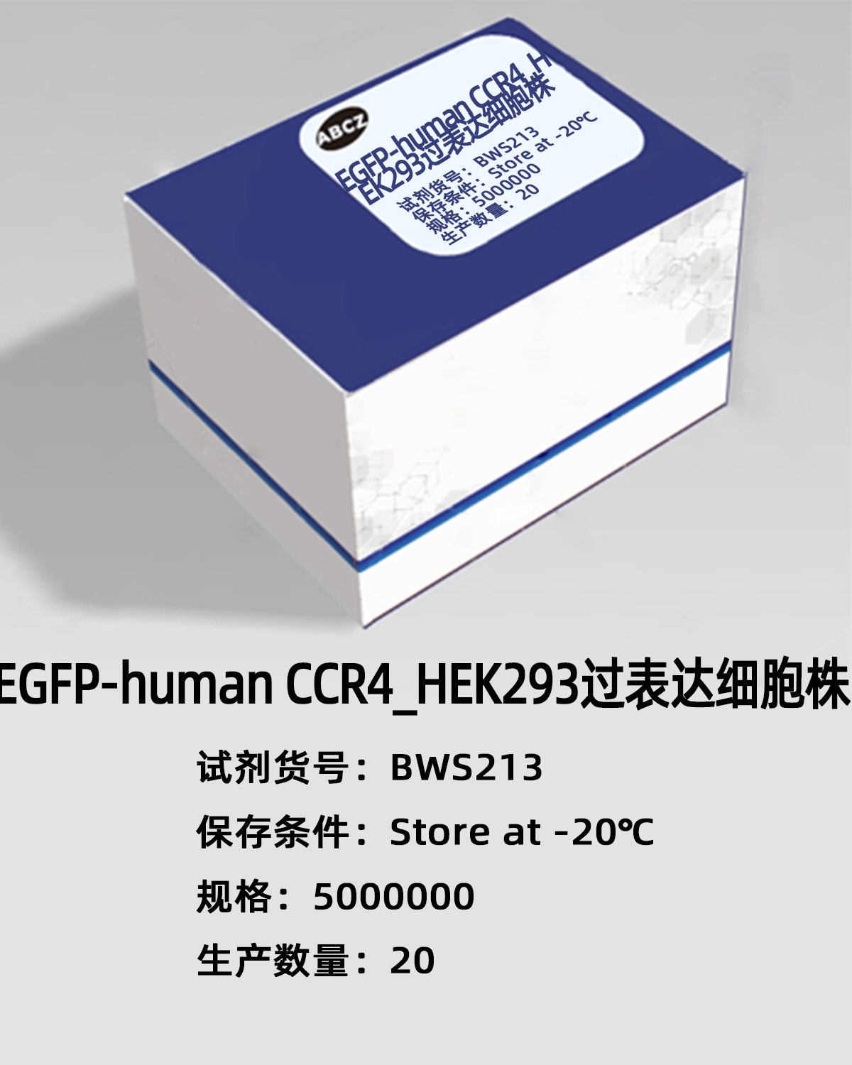 EGFP-human CCR4_HEK293過(guò)表達(dá)細(xì)胞株