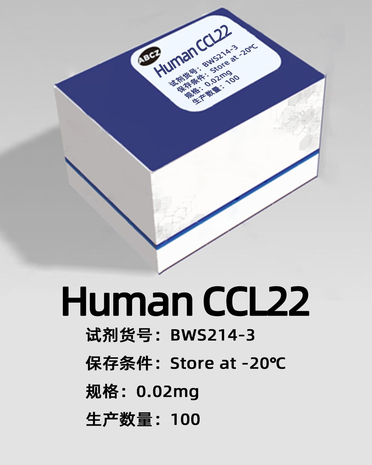 Human CCL22