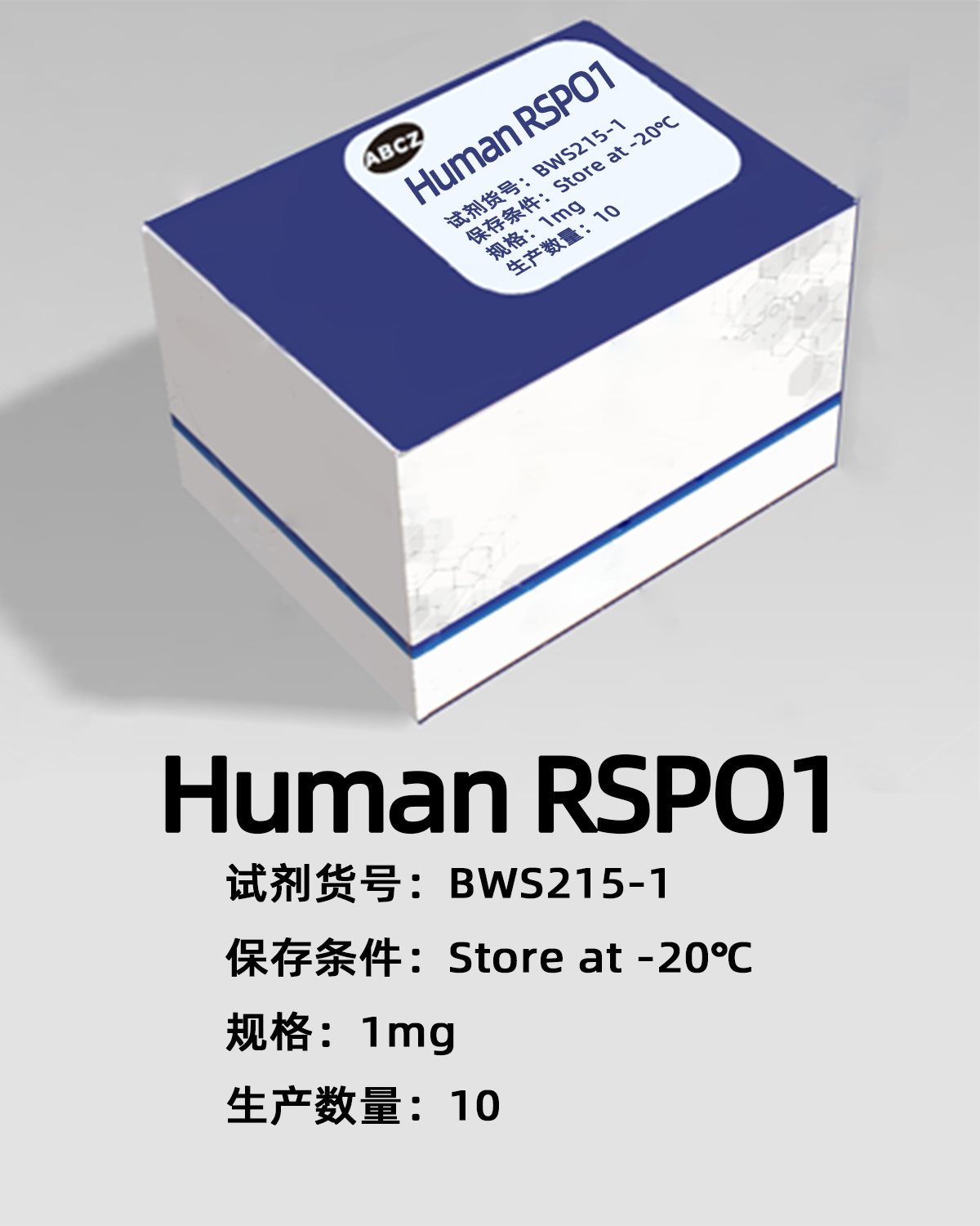 Human RSPO1