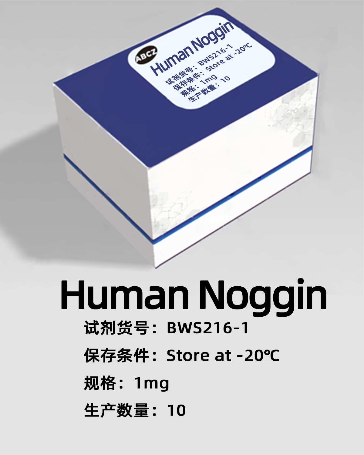 Human Noggin
