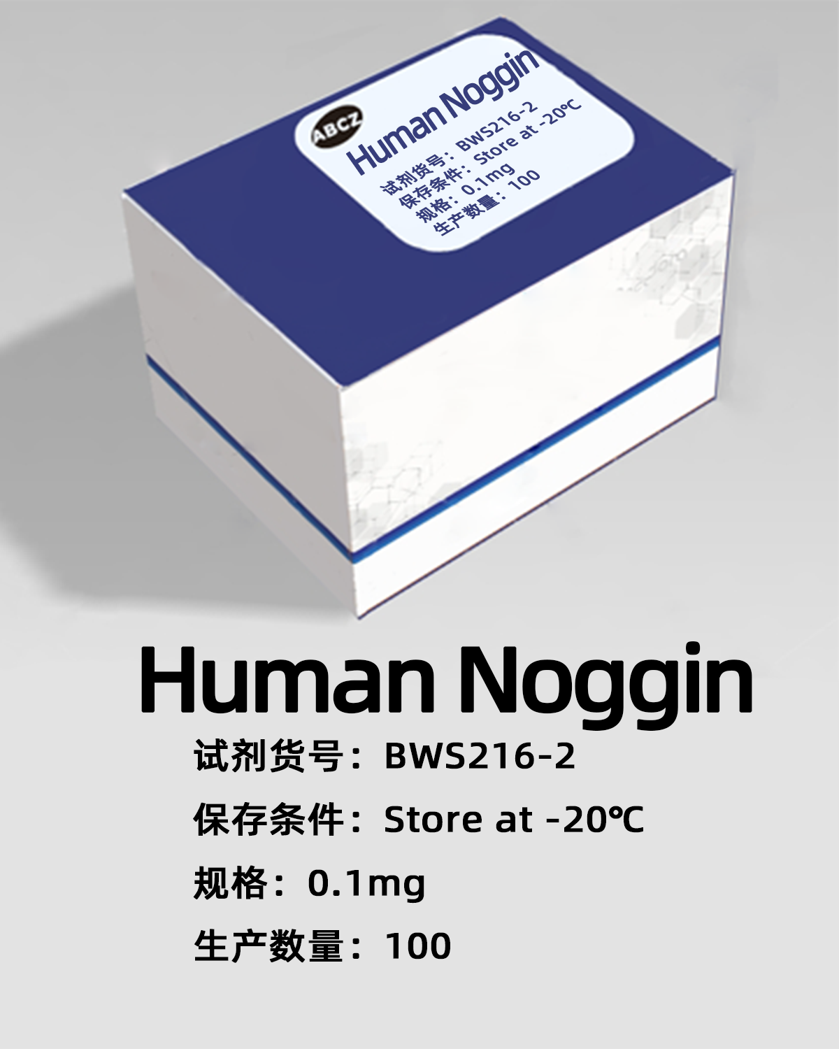 Human Noggin