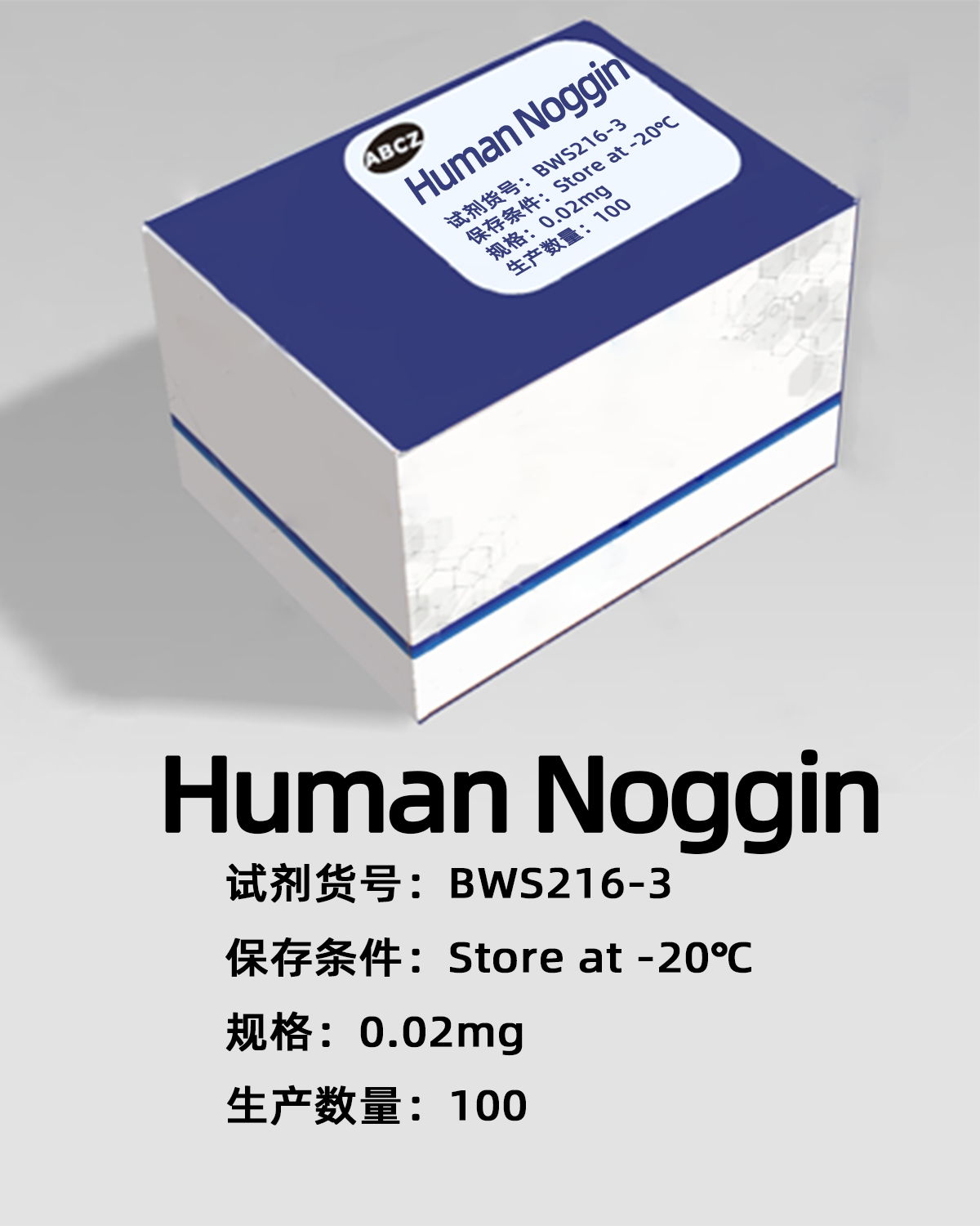 Human Noggin