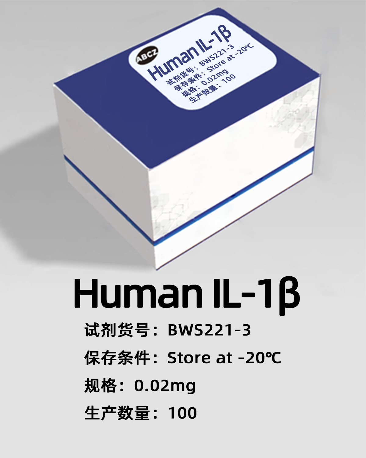 Human IL-1β
