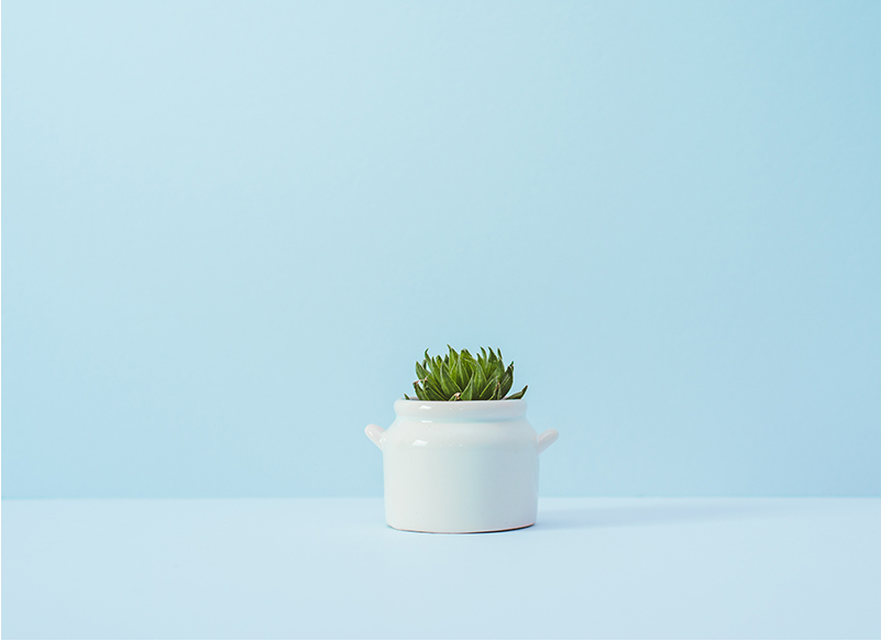 专业展厅设计公司解读色彩是设计的重要组成