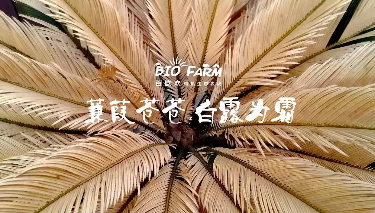 中秋假期活动通知！！！