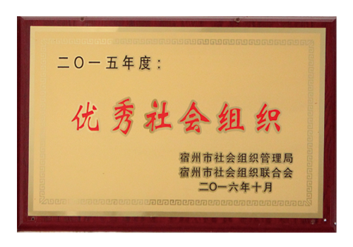 优秀社会组织