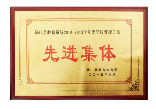 <span>先进集体</span>