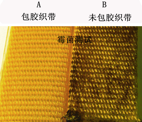 TPU织带防霉菌测试