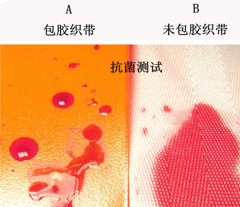 TPU织带抗菌测试