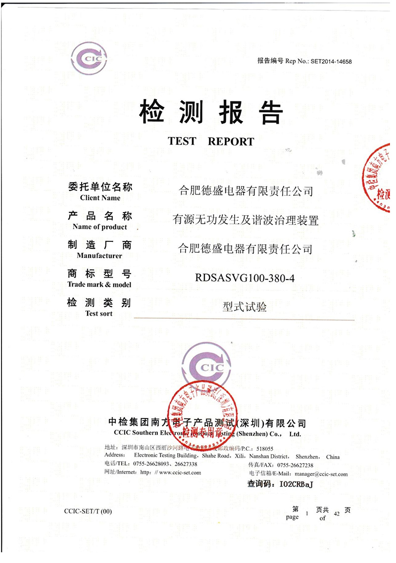 德盛ASVG 100检测报告