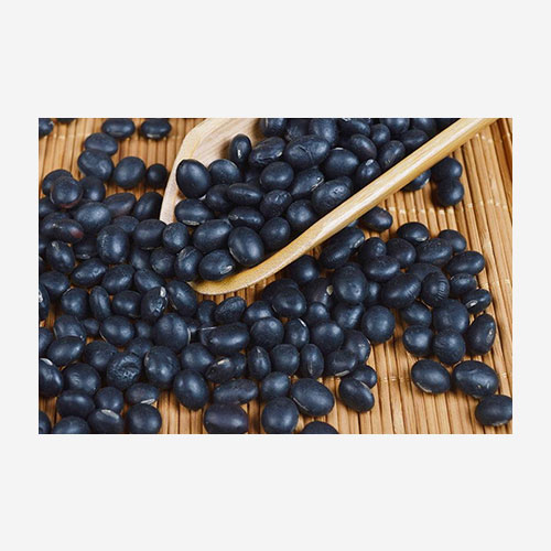 有机黑大豆