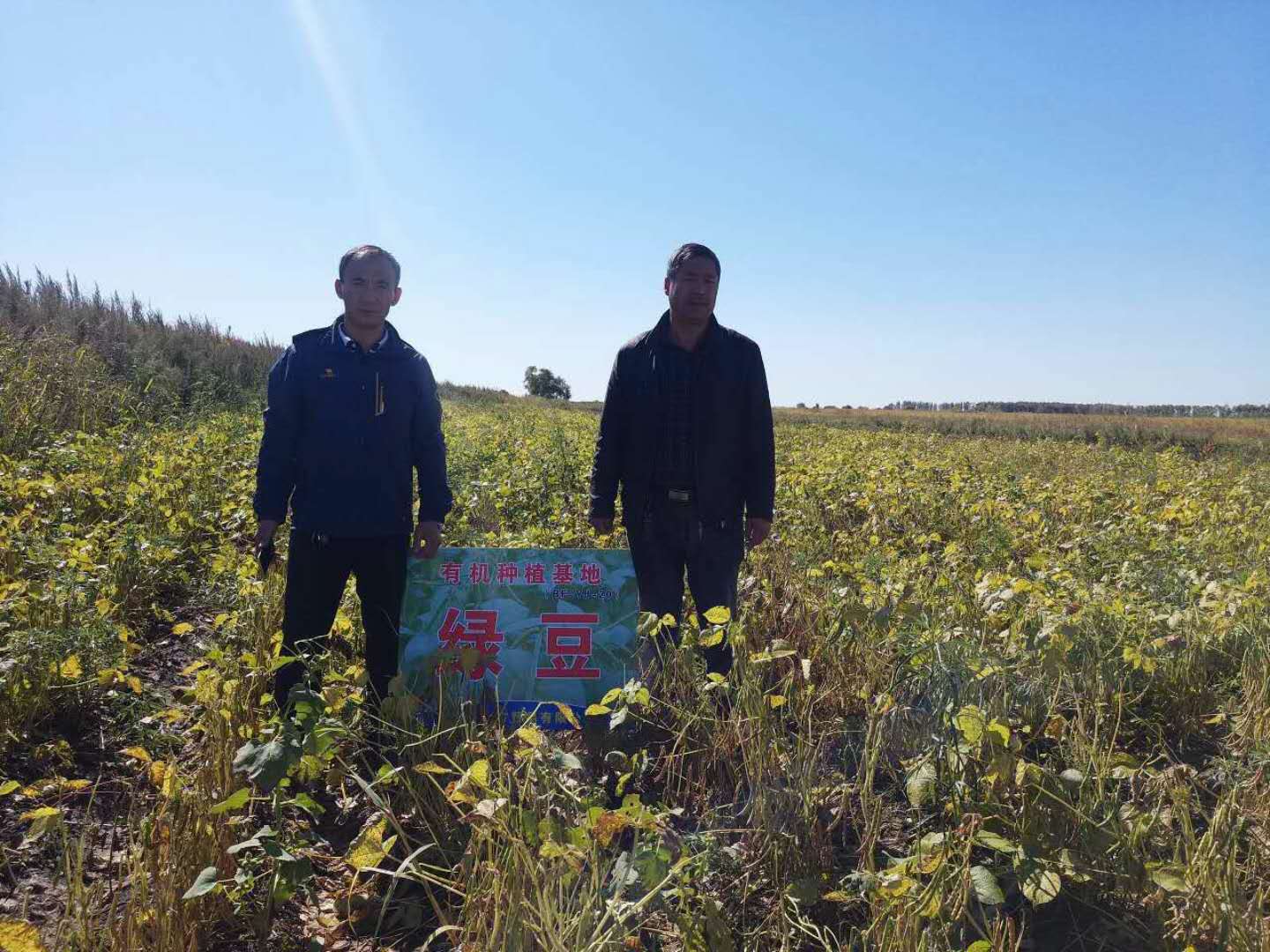 北方风采——有机种植基地考察