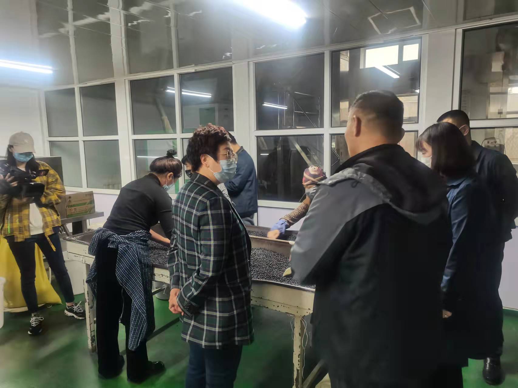 萝北县县长视察萝北县北方食品有限公司