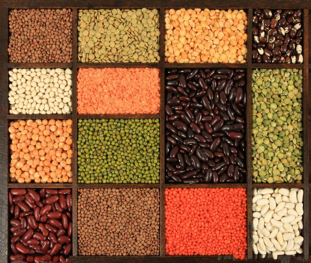 各种豆的营养价值