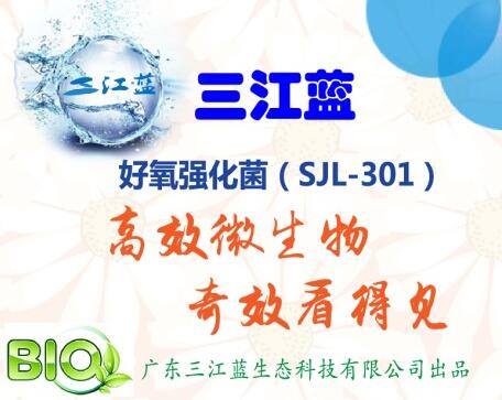 好氧强化菌