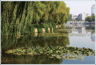 合肥高新区王咀湖生态湿地建设工程