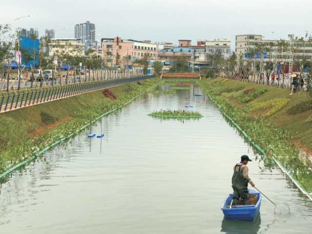 东莞万江中心涌生态修复