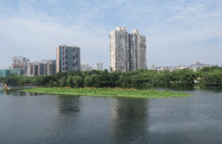 广州市海珠区黄埔古村图书馆水塘生态修复