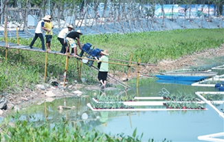 三亚东岸湿地公园水生态修复