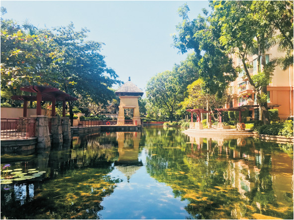 广州雅居乐中心湖水生态修复