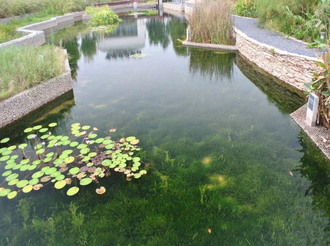 水环境治理方案