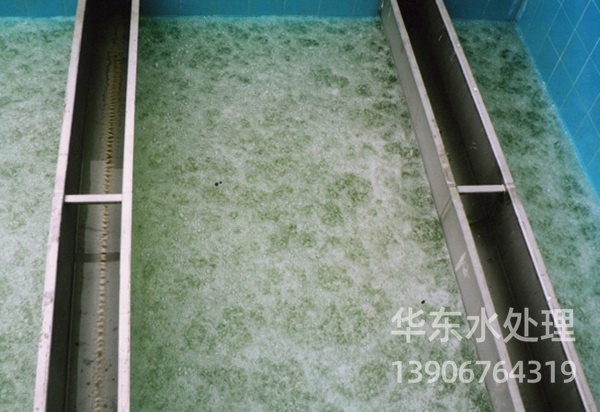 沉淀池不銹鋼集水槽