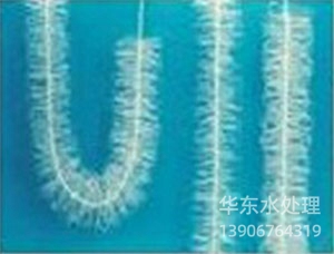 彈性生物環填料