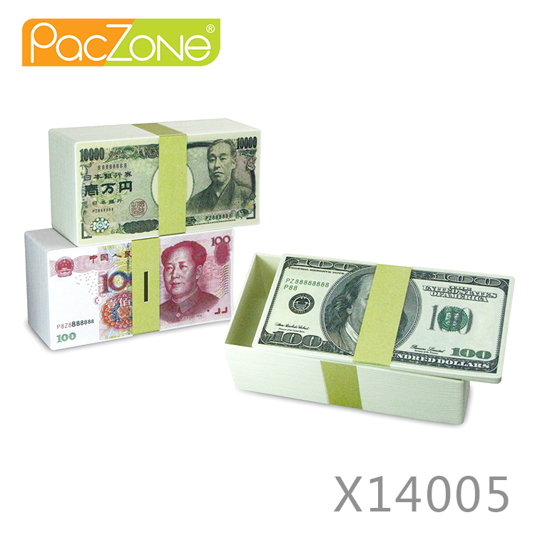 Hard Plastic Money Box
