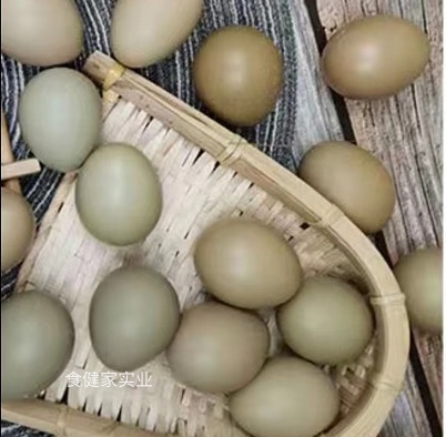 七彩山雞蛋個(gè)頭不大