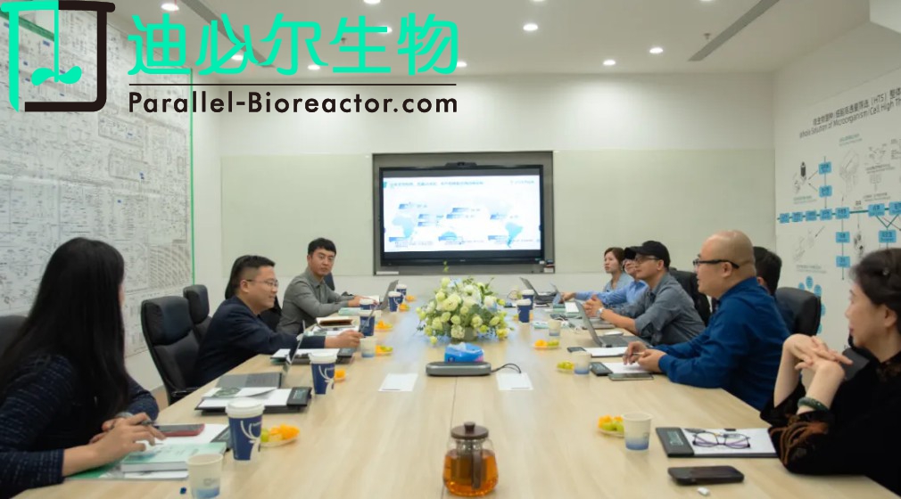 合肥市发改委副主任张杰赴迪必尔考察调研