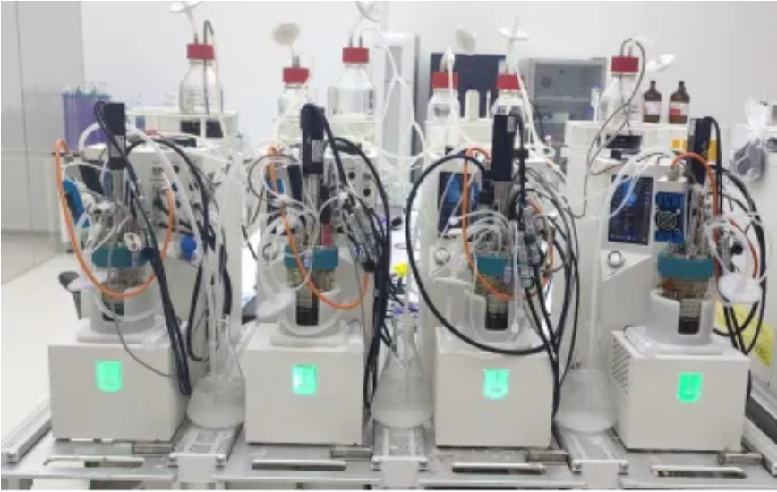 数据创新丨高通量实验快速优化硫酸链霉素生产工艺