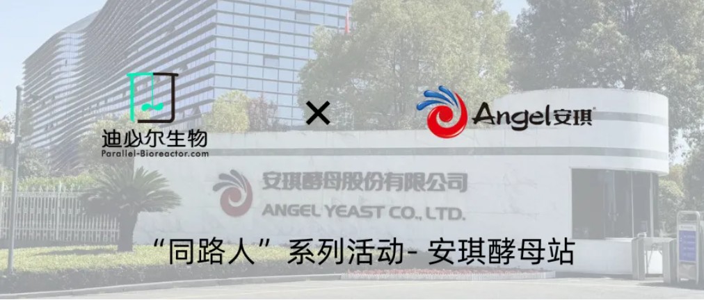 “同路人”系列活动丨迪必尔生物用户服务计划安琪酵母站