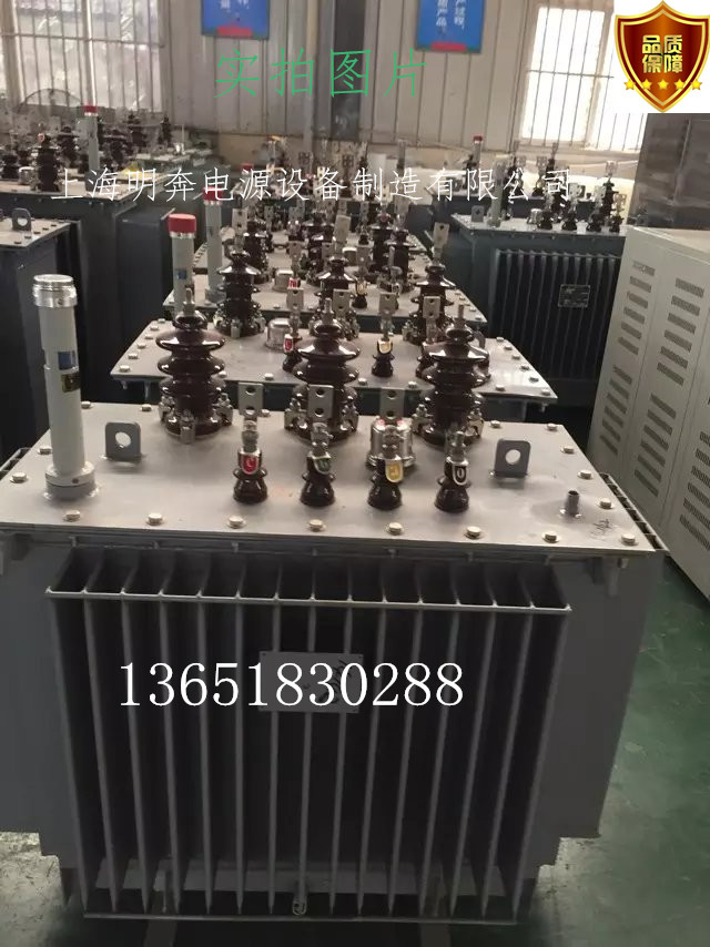 10KV/0.4KVA油浸式變壓器