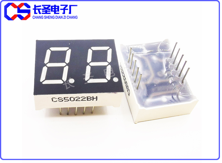 0.5英寸二位 CS5022/CS5202