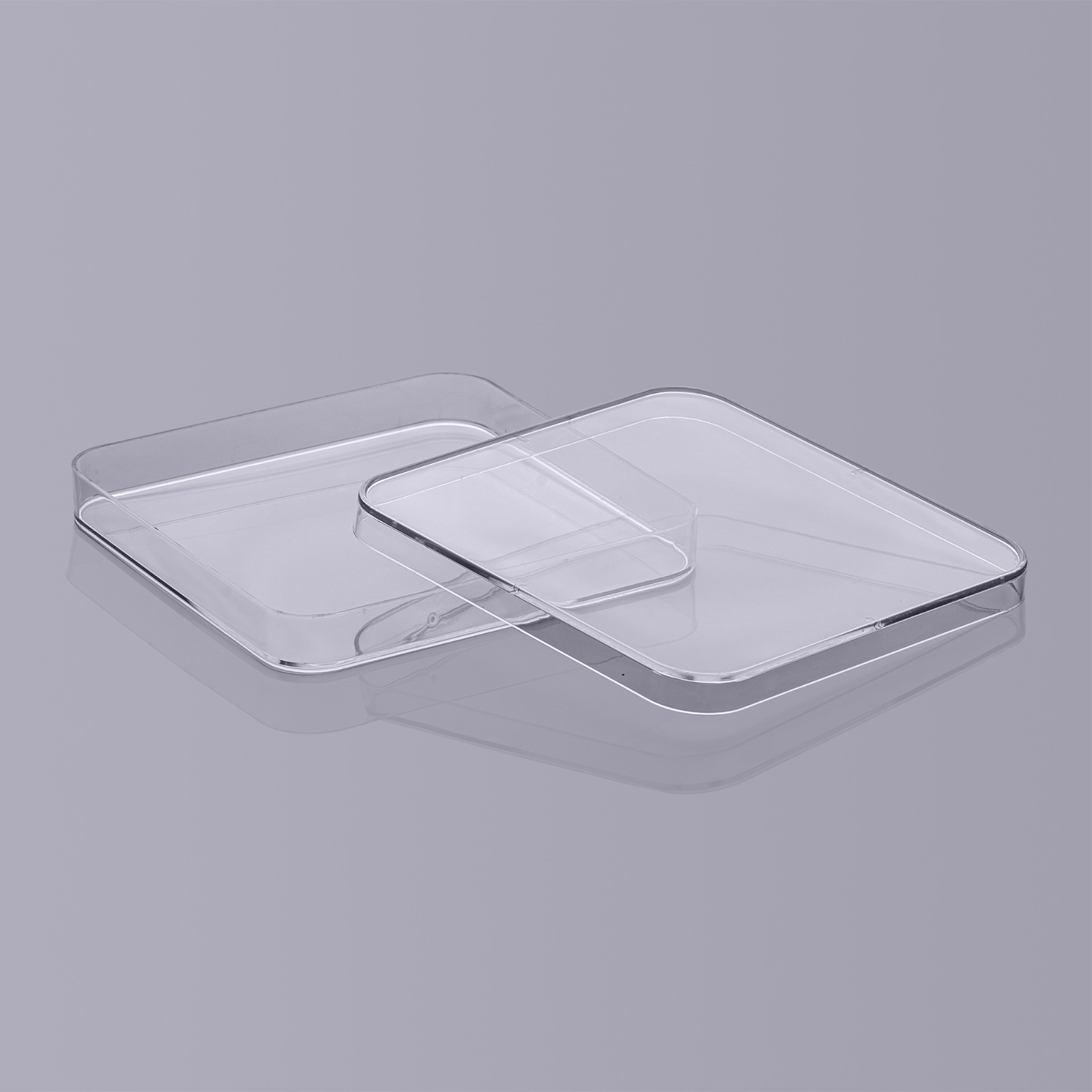 白鲨Biosharp 一次性塑料培养方皿(130mm*130mm)
