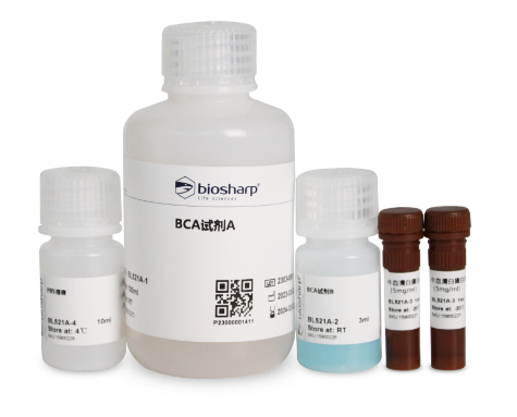 Biosharp BCA蛋白浓度检测试剂盒