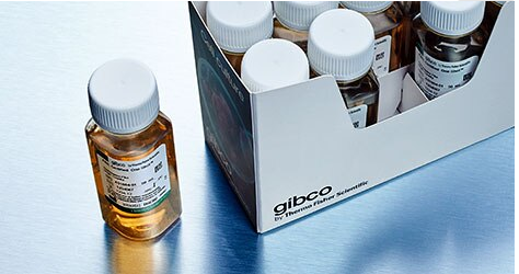 盒装gibco南美胎牛血清 (FBS) 免分装