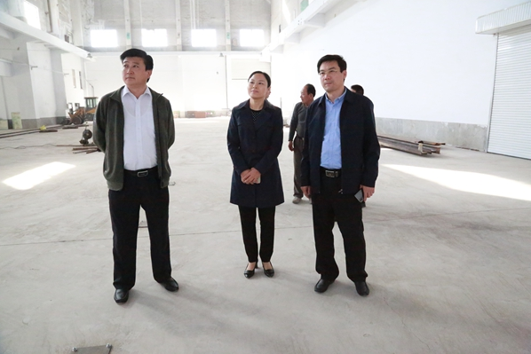 市考核督查组来山东助强考核招商引资项目