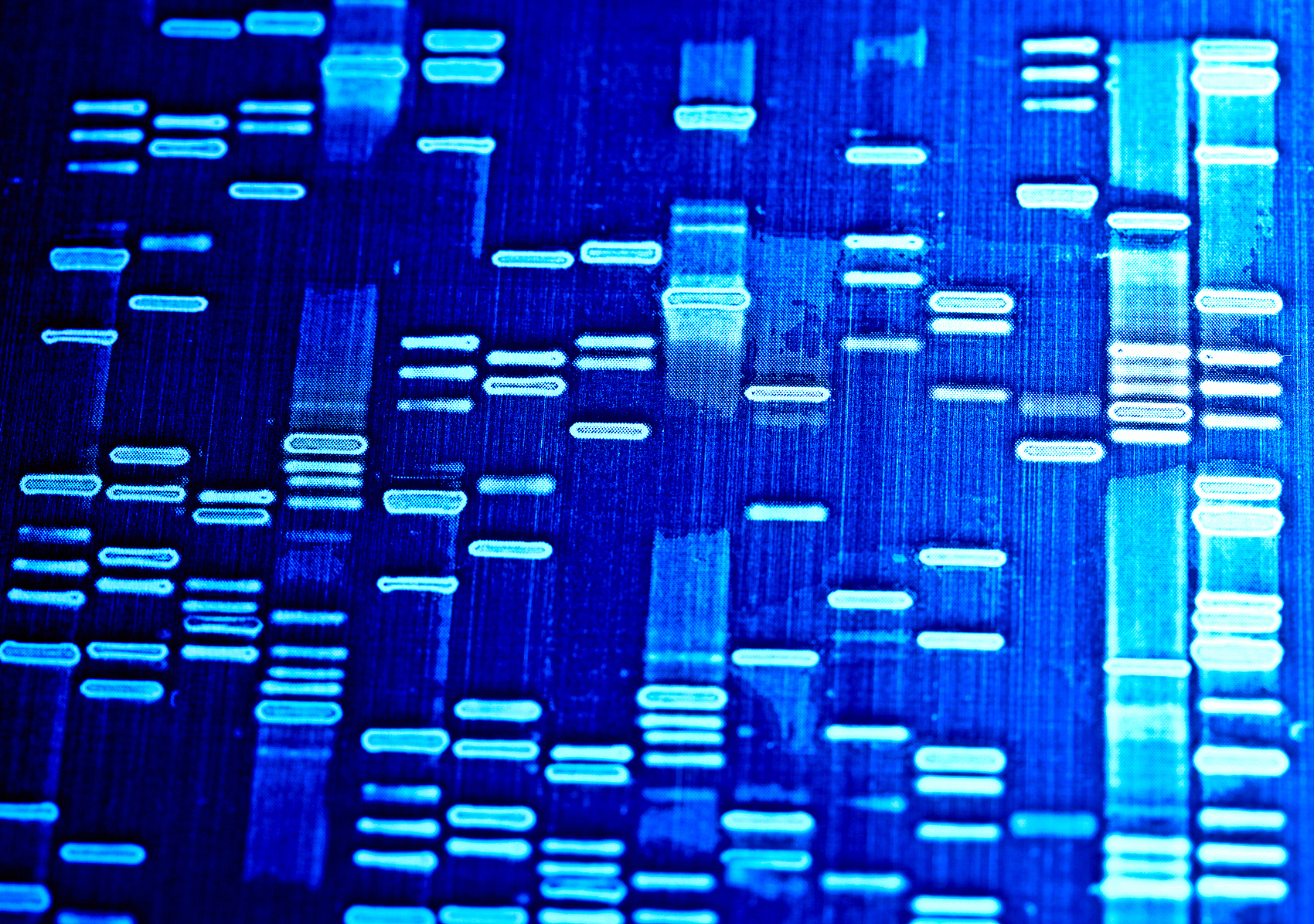 万字解说法医遗传学（上）——过去：基础探索与技术奠基