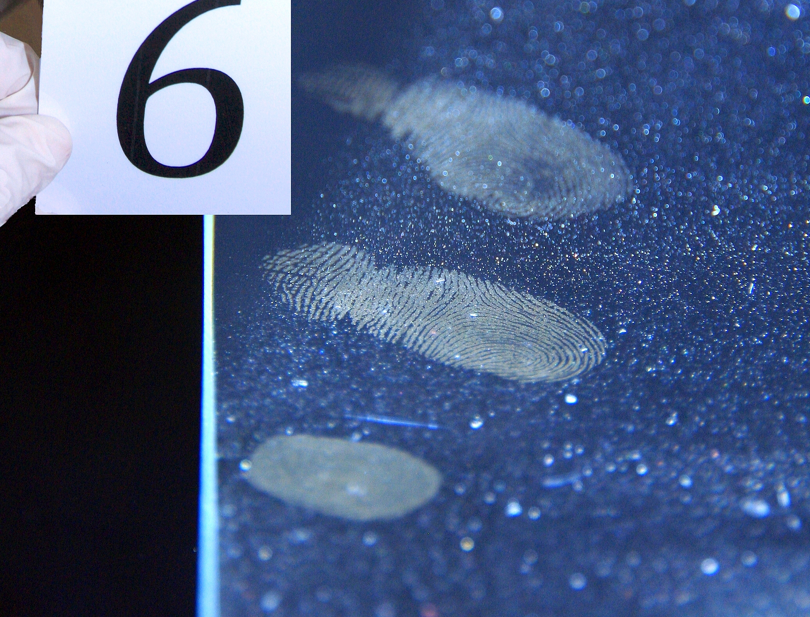 物证类司法鉴定