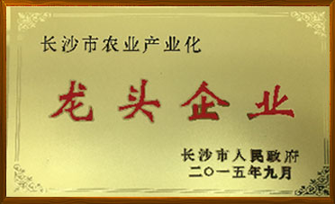 春云高科