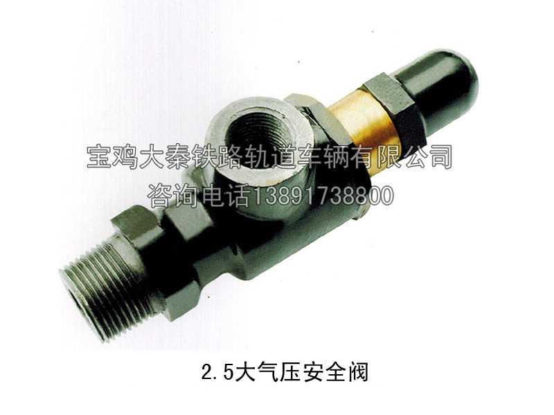 MSP123-WTH-00安全閥組成