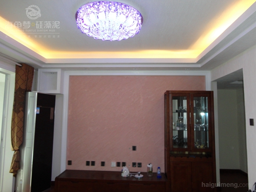 客厅硅藻泥颜色效果图，客厅颜值提升100倍(图5)