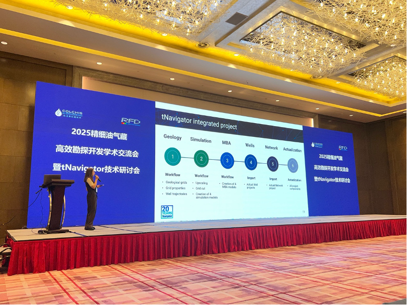 圆满落幕｜2025精细油气藏高效勘探开发学术交流会暨tNavigator技术论坛成功召开