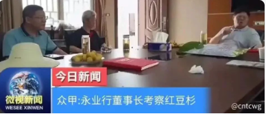 中国科学院武汉分院原副院长吕纯操与永业行集团董事长方国成一行人到祥瑞丰红豆杉基地考察
