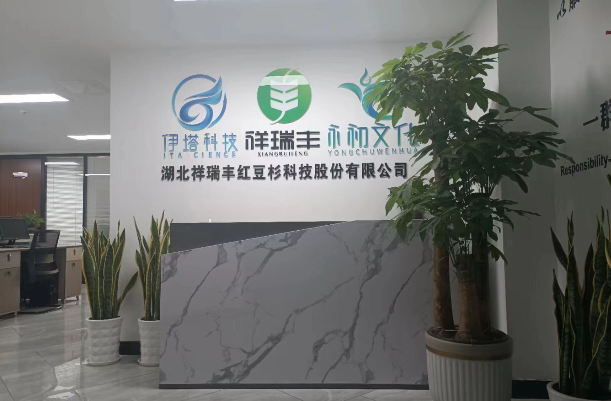 公司概况