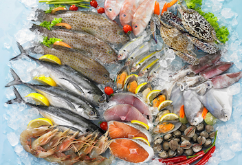 冰鮮類-魚(yú)蝦類