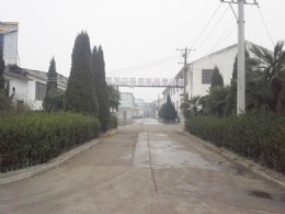 公司环境