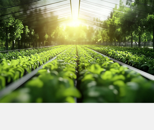 智慧农业新革命：云辑微断联动传感器，灌溉用电省心又省力！